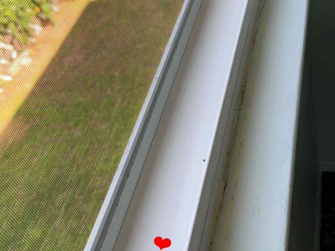 Veronica Cleaning Services